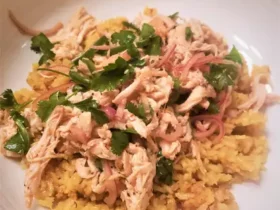 Southeast Asian Style Chicken Rice