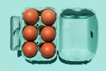 The Best Egg Carton Material, According to Food Scientists