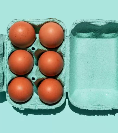 The Best Egg Carton Material, According to Food Scientists